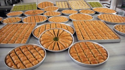 antepfistiginda-tum-zamanlarin-en-yuksek-rekoltesi-bekleniyor-1432544720